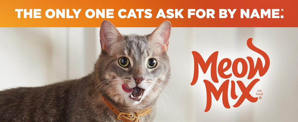 Meow Mix friandises chat bol servi, présentation attrayante.