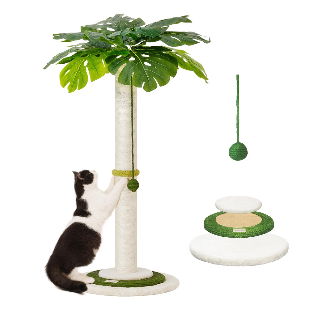 Meowoou Balle Ressort Interactif: divertissement et exercice pour chats
