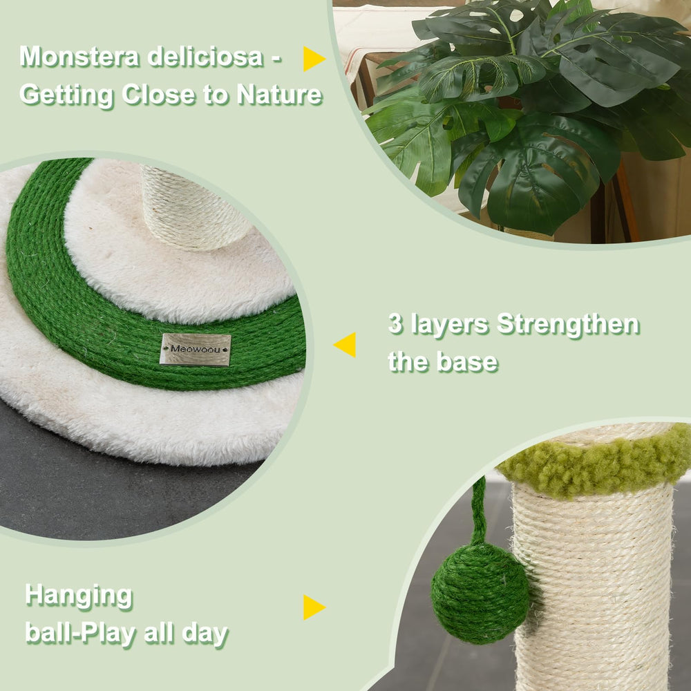 Meowoou Base Trois Niveaux Doux: repos confortable et esthétique discrète