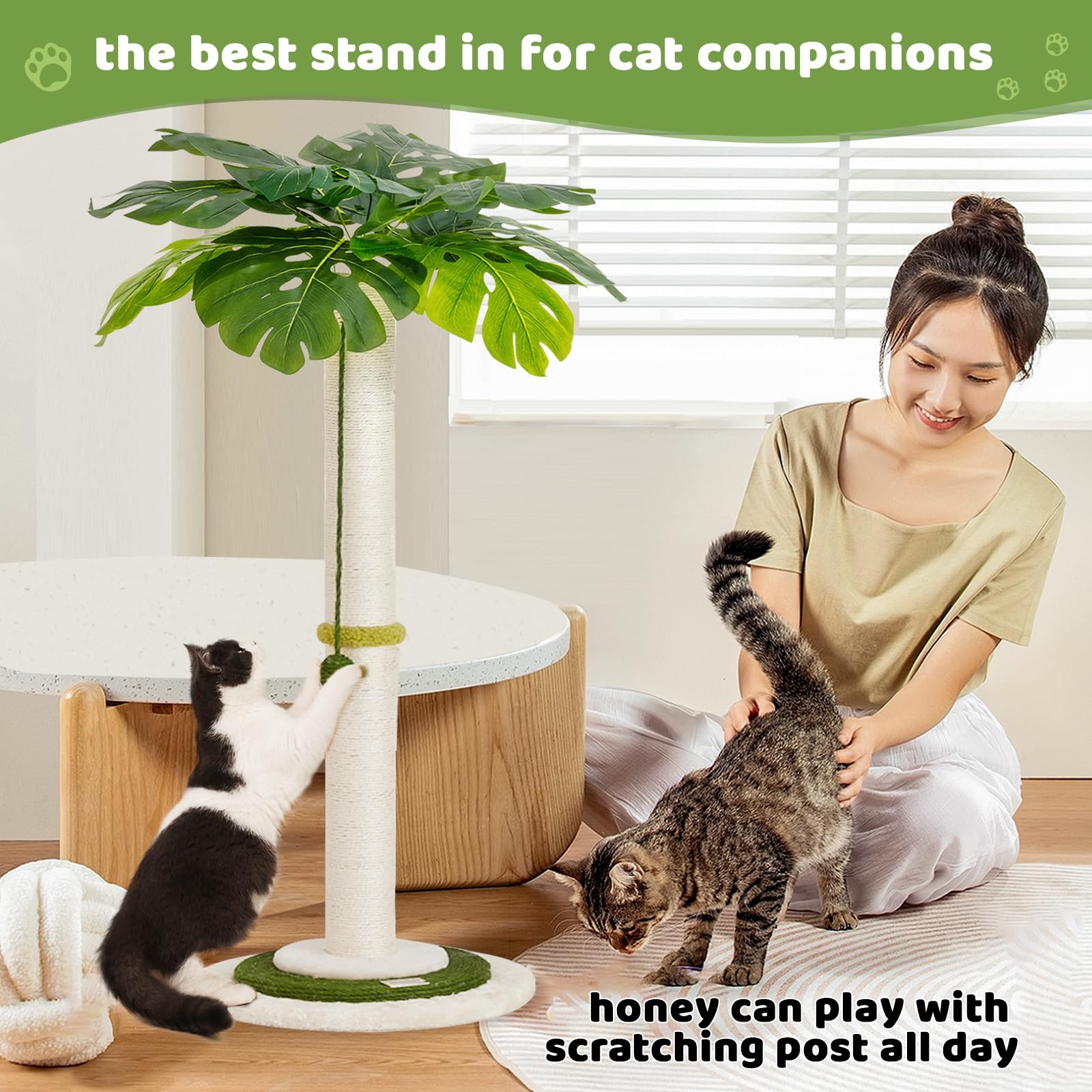 Meowoou Boule Interactif Pendue: stimulation mentale et divertissement pour chats