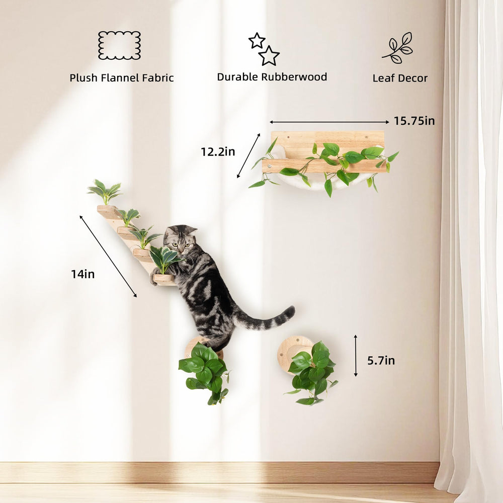 Meowoou étagères murales pour chats, stabilité et sécurité.