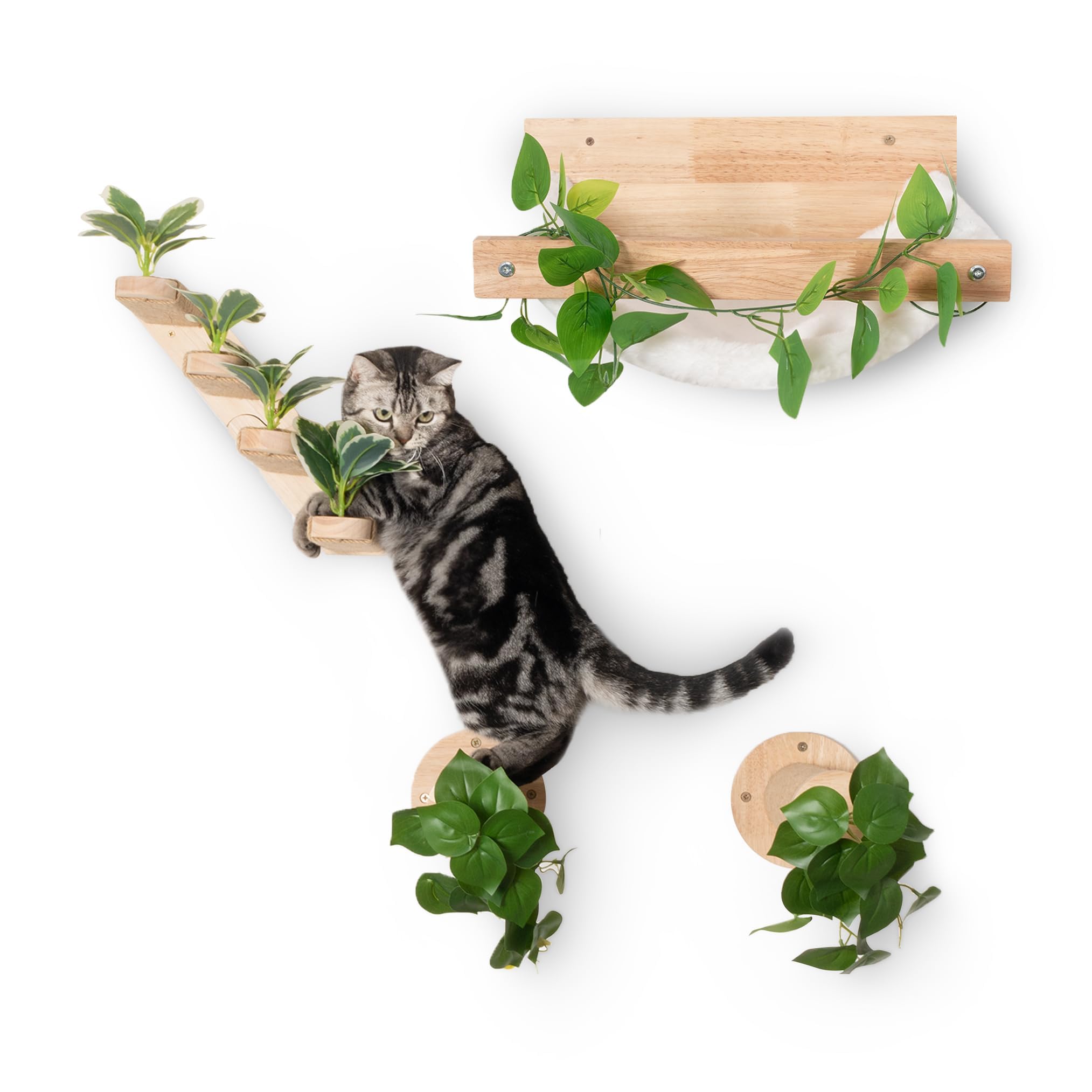 Meowoou installation facile et rapide pour votre mur.