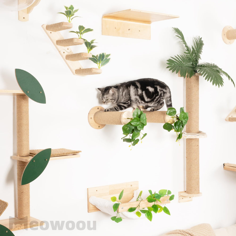 Meowoou tapis sisal robuste pour griffage sain.
