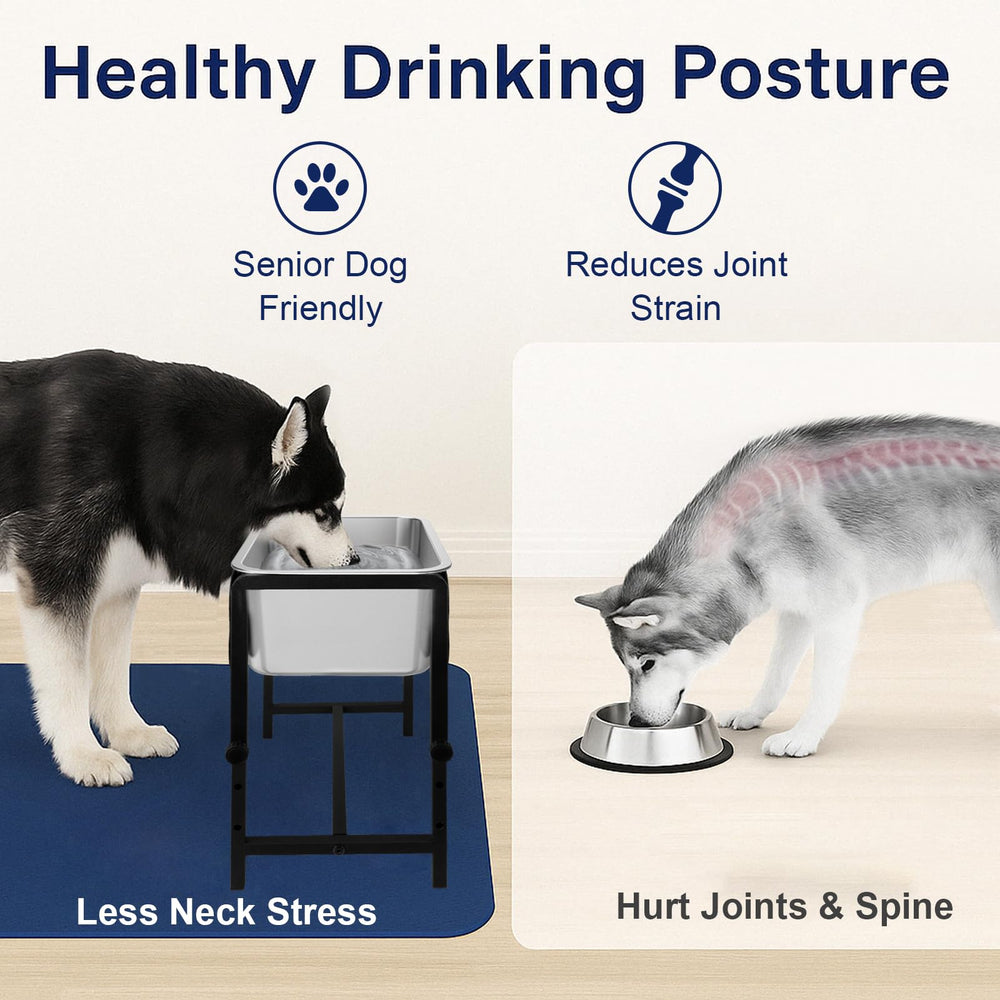 MeoWriental bol inox et cadre metal robuste, hygiénique et durable