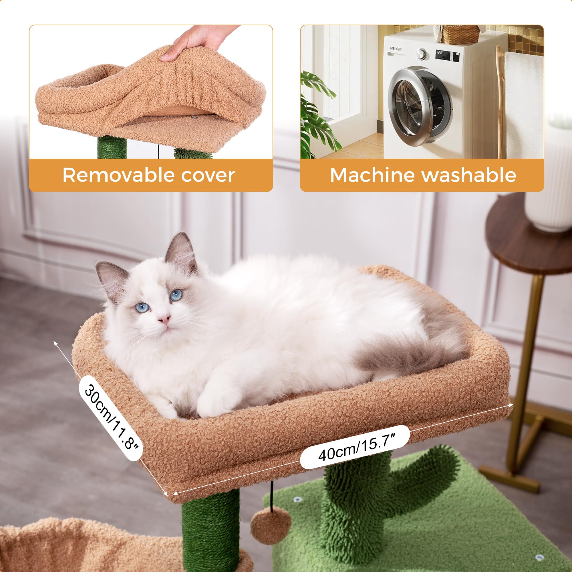 Meowrista condo cabane intérieur, refuge cosy pour sieste et jeux.