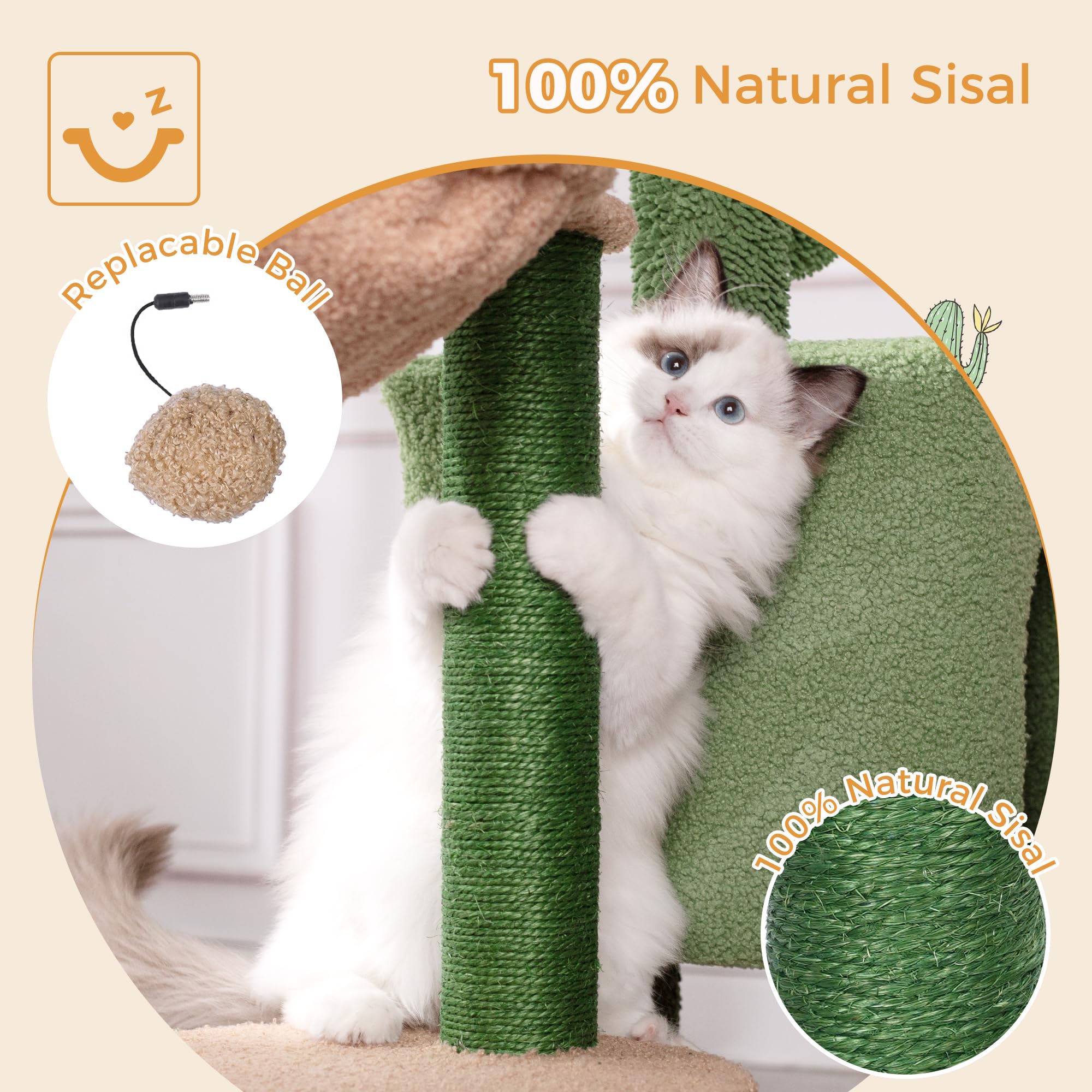 Meowrista hamac, espace suspendu pour se détendre et se reposer.