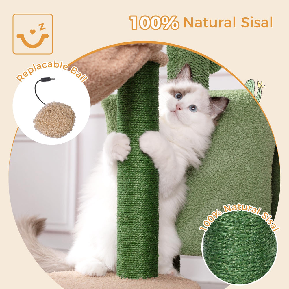 Meowrista hamac, espace suspendu pour se détendre et se reposer.