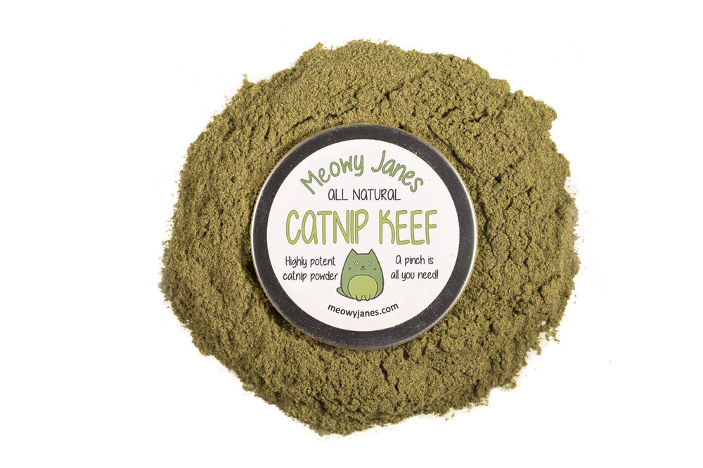 Meowy Janes Catnip Keef, poudre fine concentrée, stimule le jeu et la curiosité des chats.
