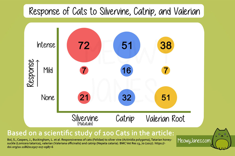 Poudre Meowy Janes Silver Vine apaise l’anxiété et favorise des moments calmes.