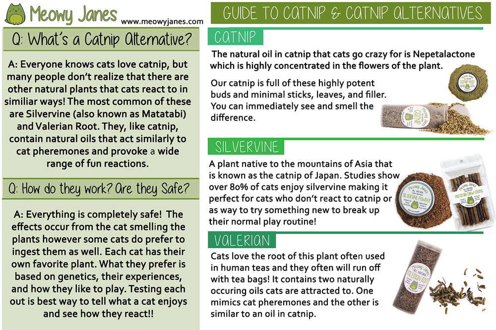 Utilisation polyvalente Meowy Janes Silver Vine pour le bien‑être du chat.