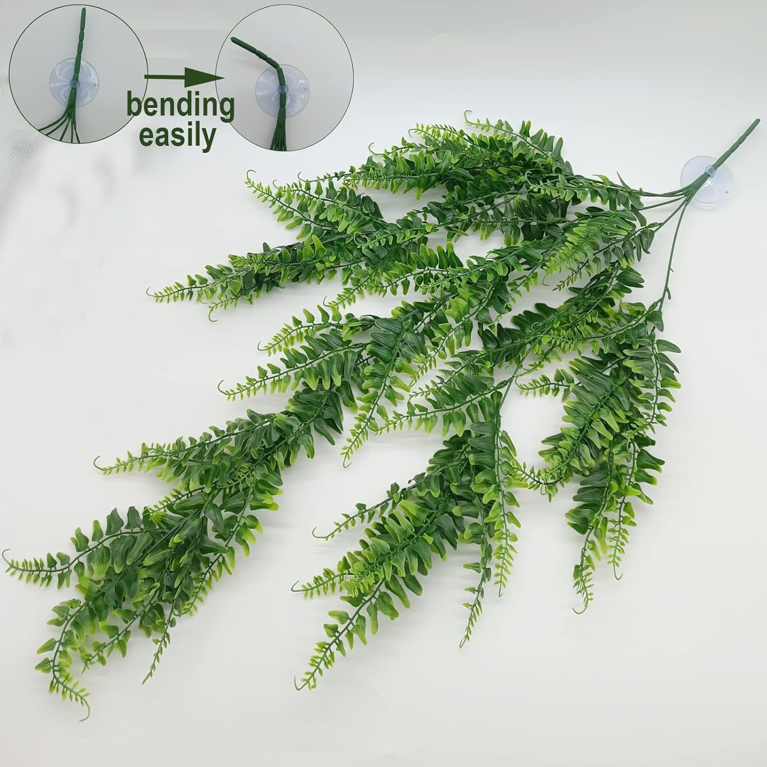 MePHAN ventouses diametre 5 cm – fixation solide pour terrarium et décor sûr.