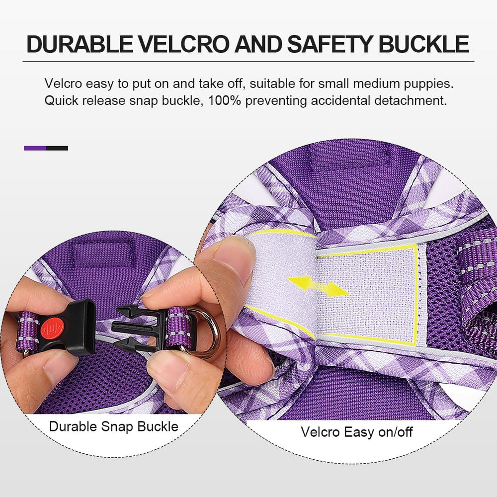 Fermeture de sécurité rapide Mercano, facile à mettre et enlever violet.