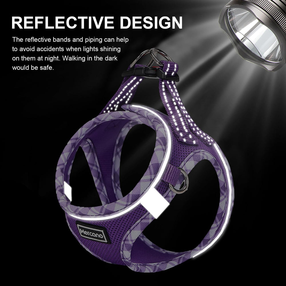 Guide balade Mercano, design pratique pour sorties quotidiennes violet.