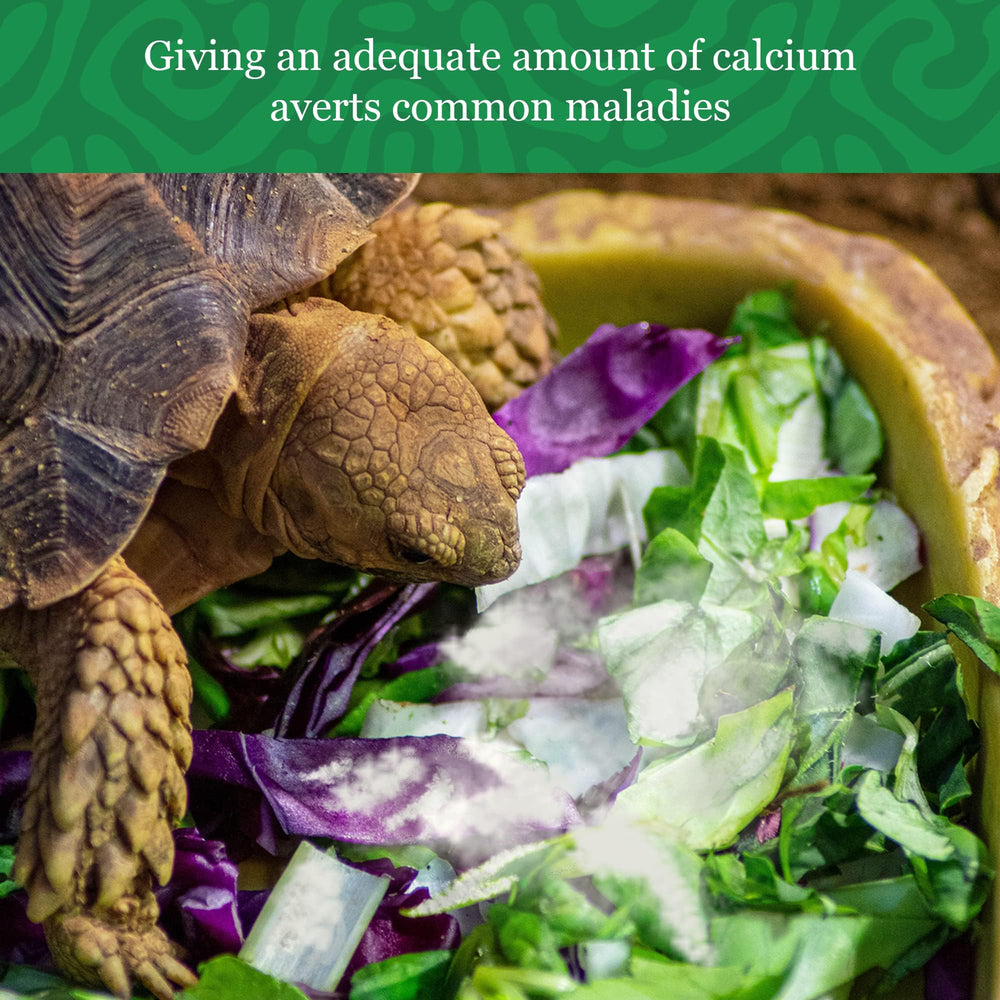Conditionnement pratique et valeur du calcium CoCoo Meric.