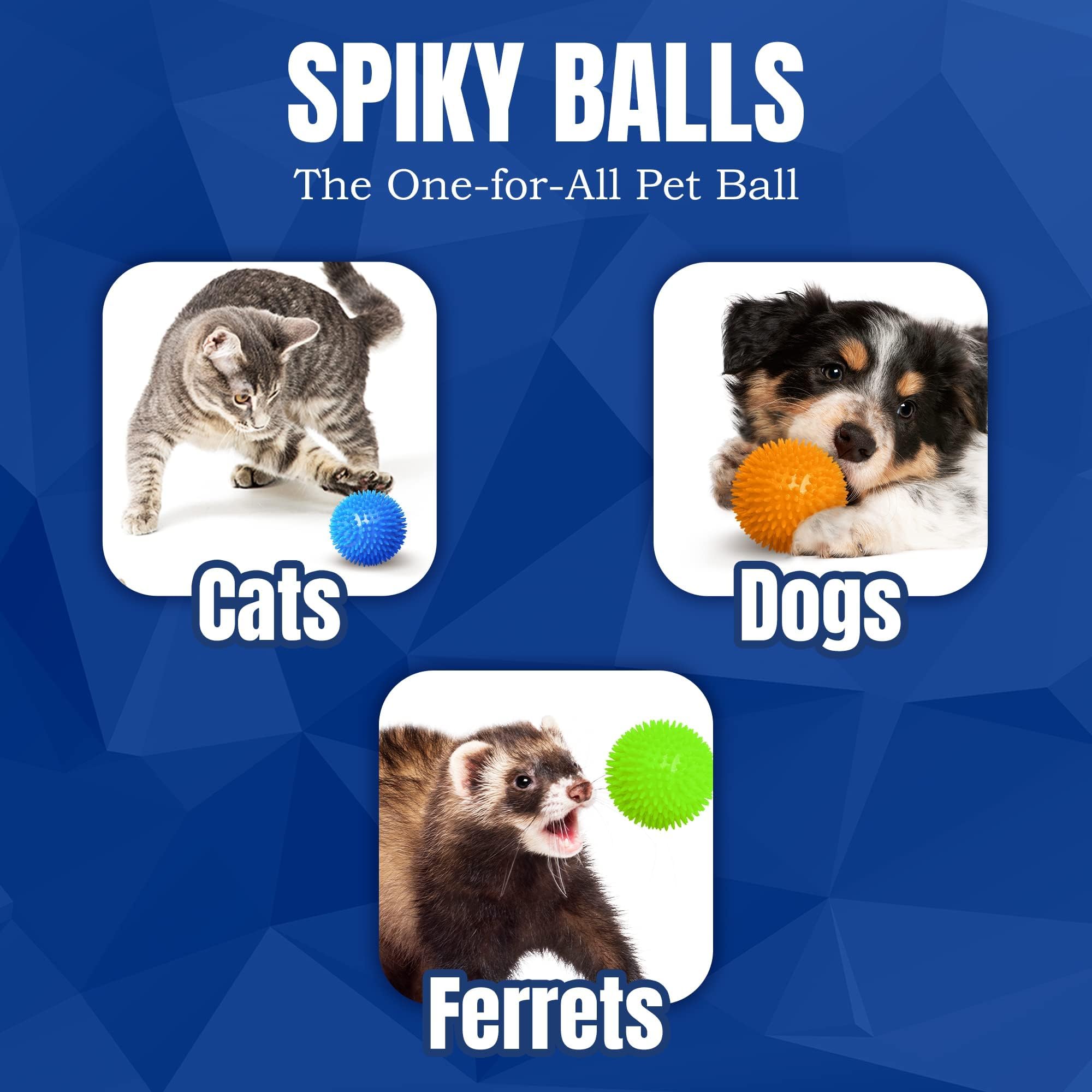 Balle CoCoo pour chien et furet, jeu polyvalent.