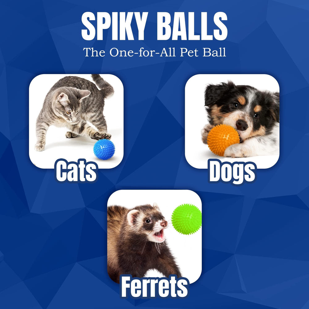 Balle CoCoo pour chien et furet, jeu polyvalent.