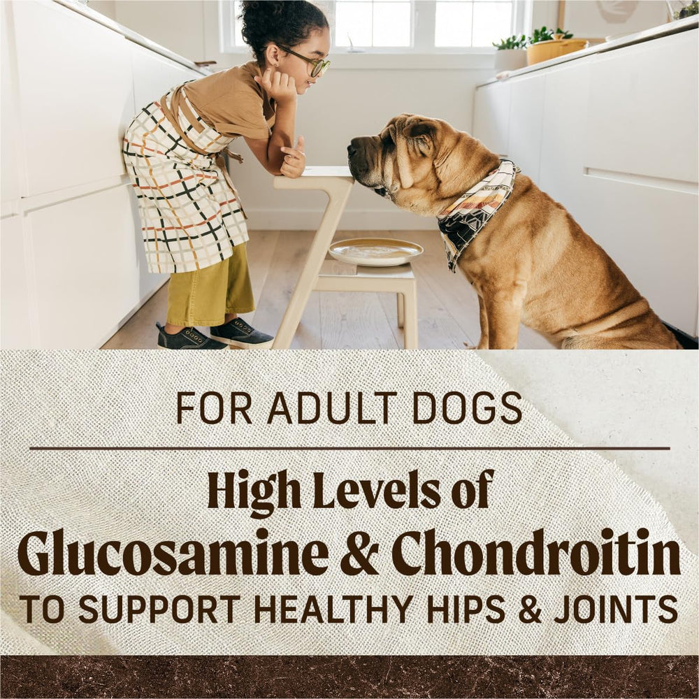 Merrick-equilibre-quotidien-en-nutrition-pour-chien-actif.