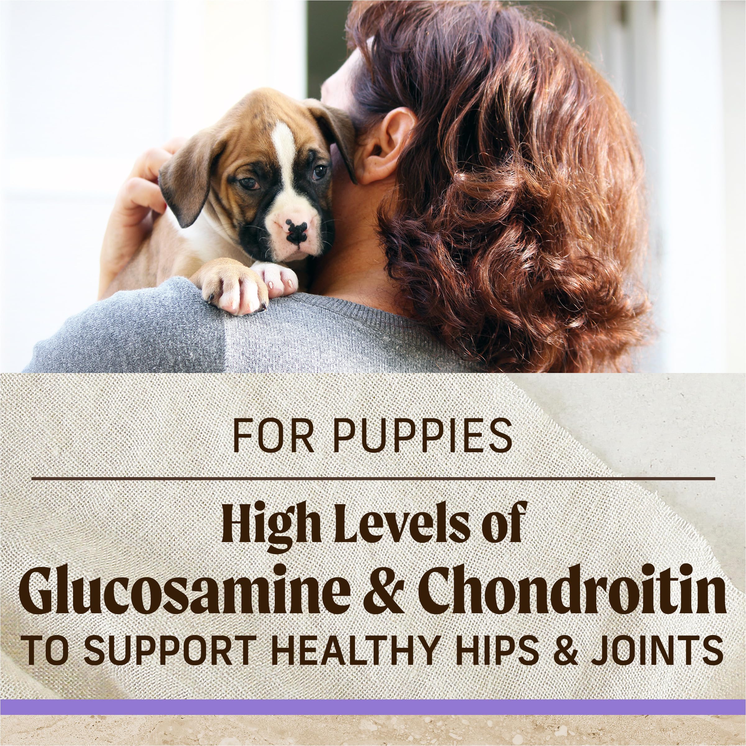Merrick Puppy grains: sans soja pour nutrition simple.