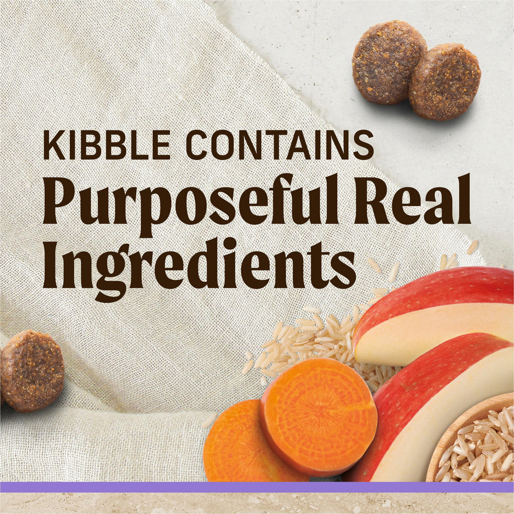 Merrick Healthy Grains: croquettes chiot, texture croquante, digestion optimale.