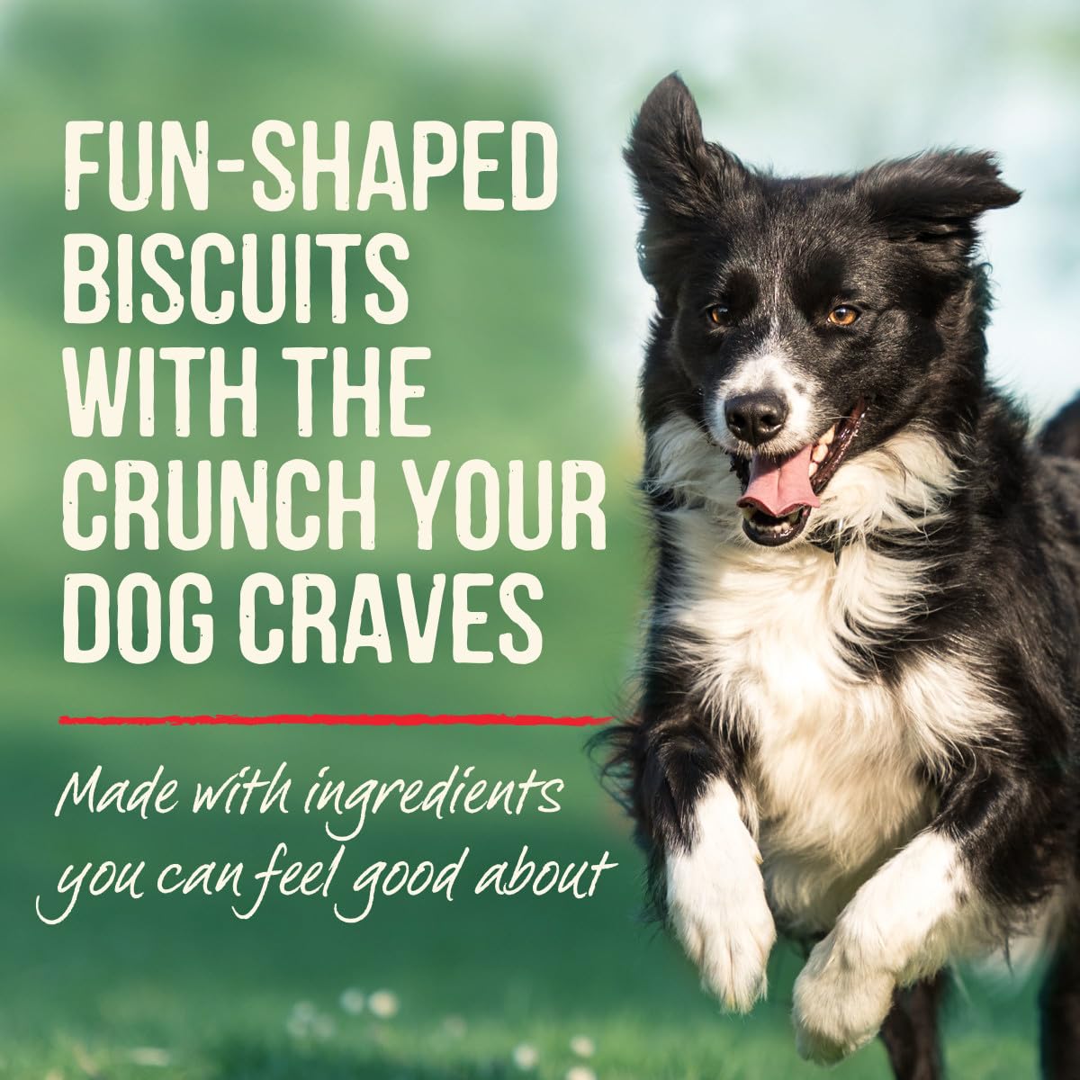 Merrick ingrédients naturels boeuf bacon, friandises pour chiens