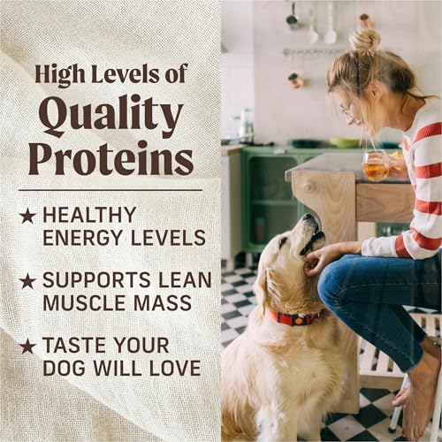 Merrick Kitchen Comforts : chien heureux dégustant un repas pratique