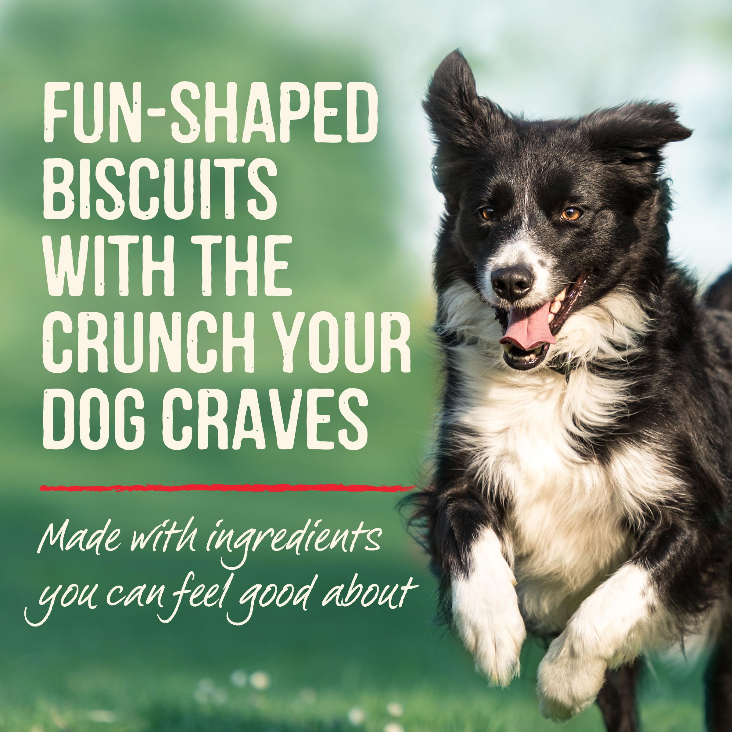 Odeur appétissante et texture croquante des biscuits Merrick.