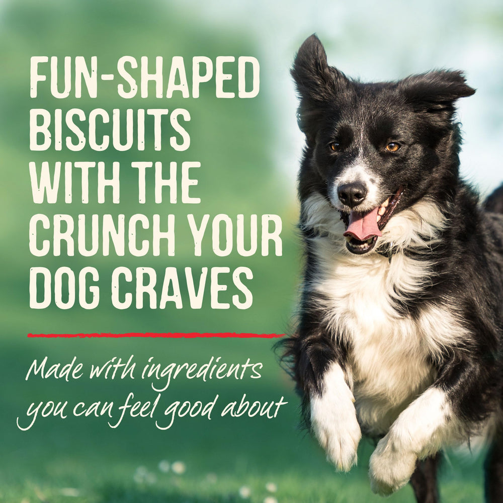 Odeur appétissante et texture croquante des biscuits Merrick.