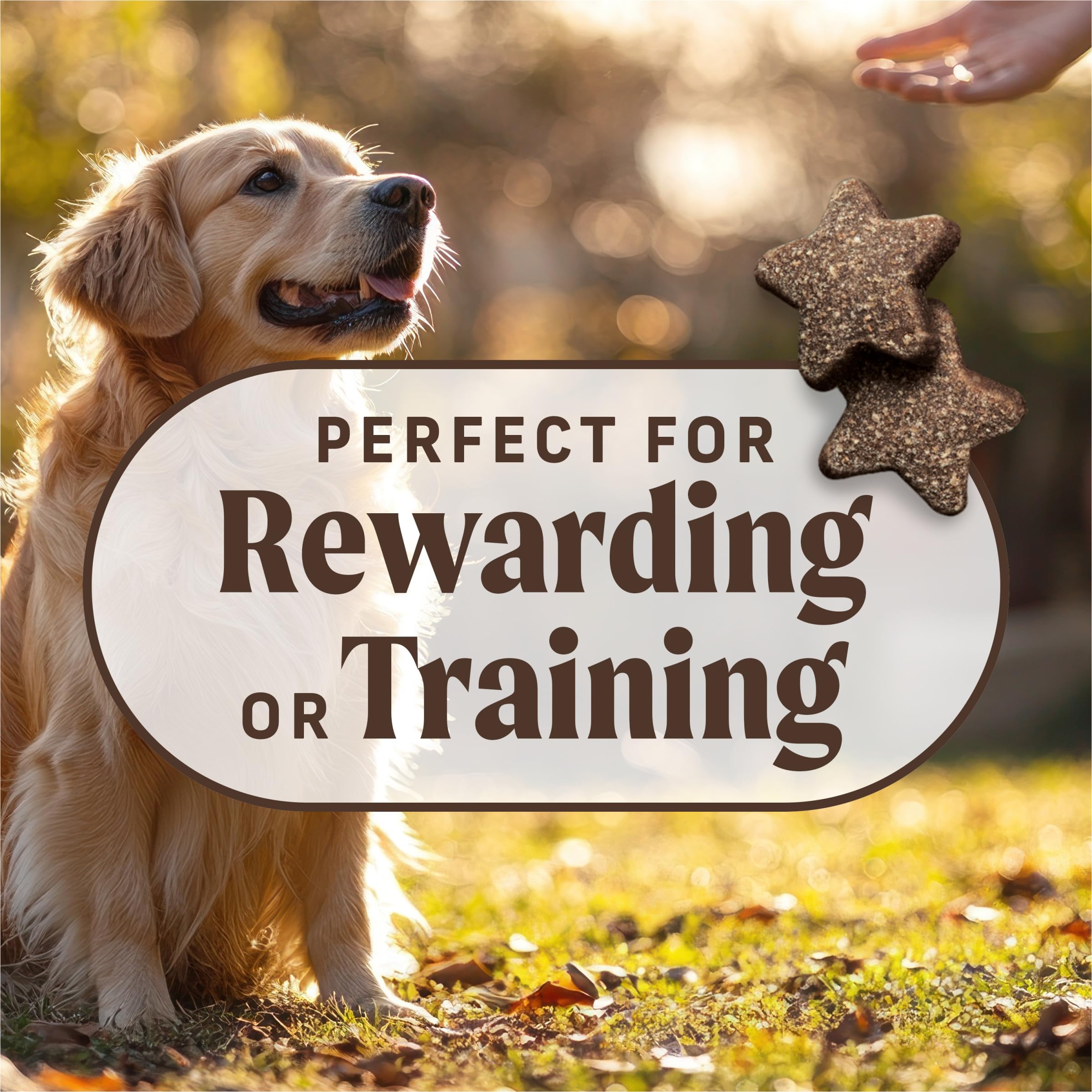 Merrick Power Bites petits morceaux pour petits chiens.