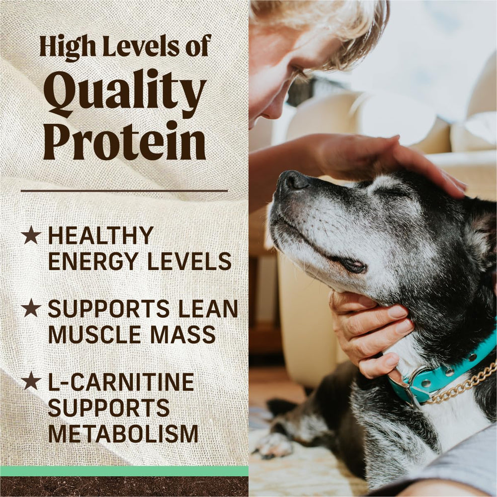 Merrick Senior grain-free facilite digestion chez chiens seniors