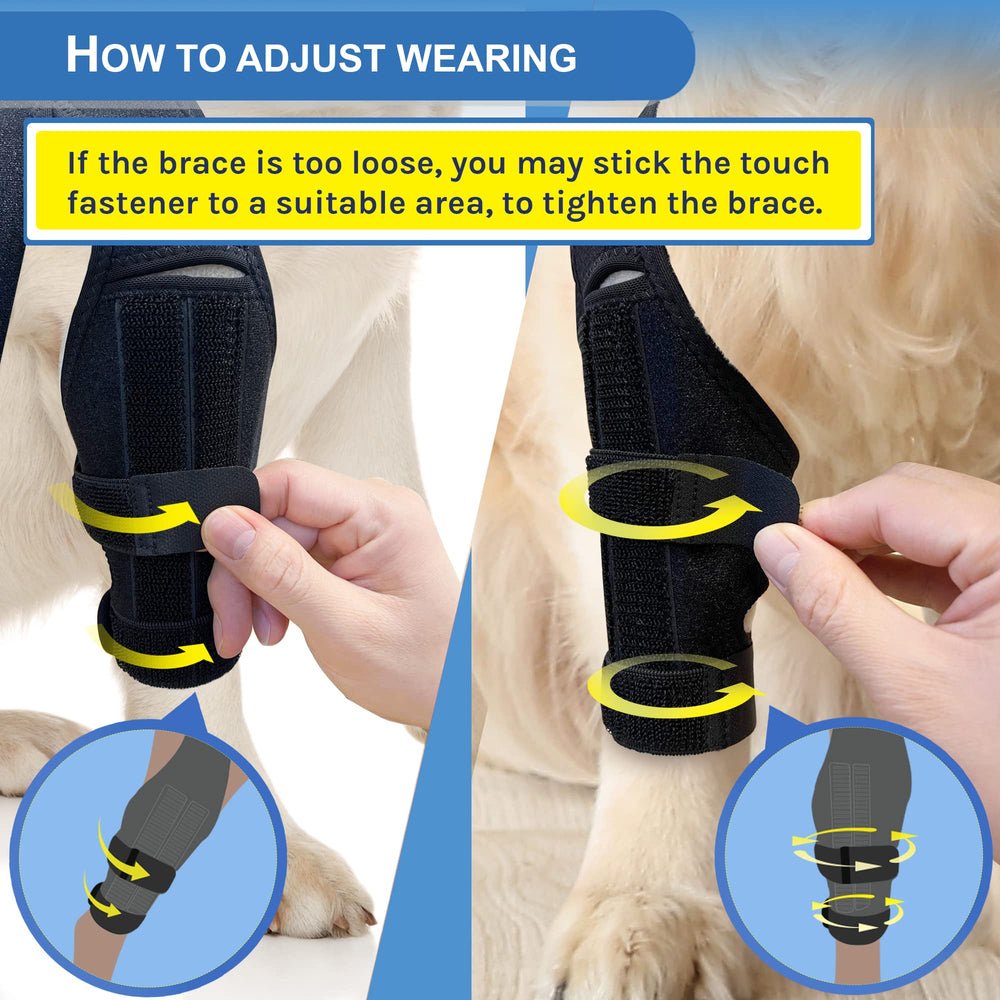 MerryMilo genou-chien : conception durable et flexible pour un usage quotidien.