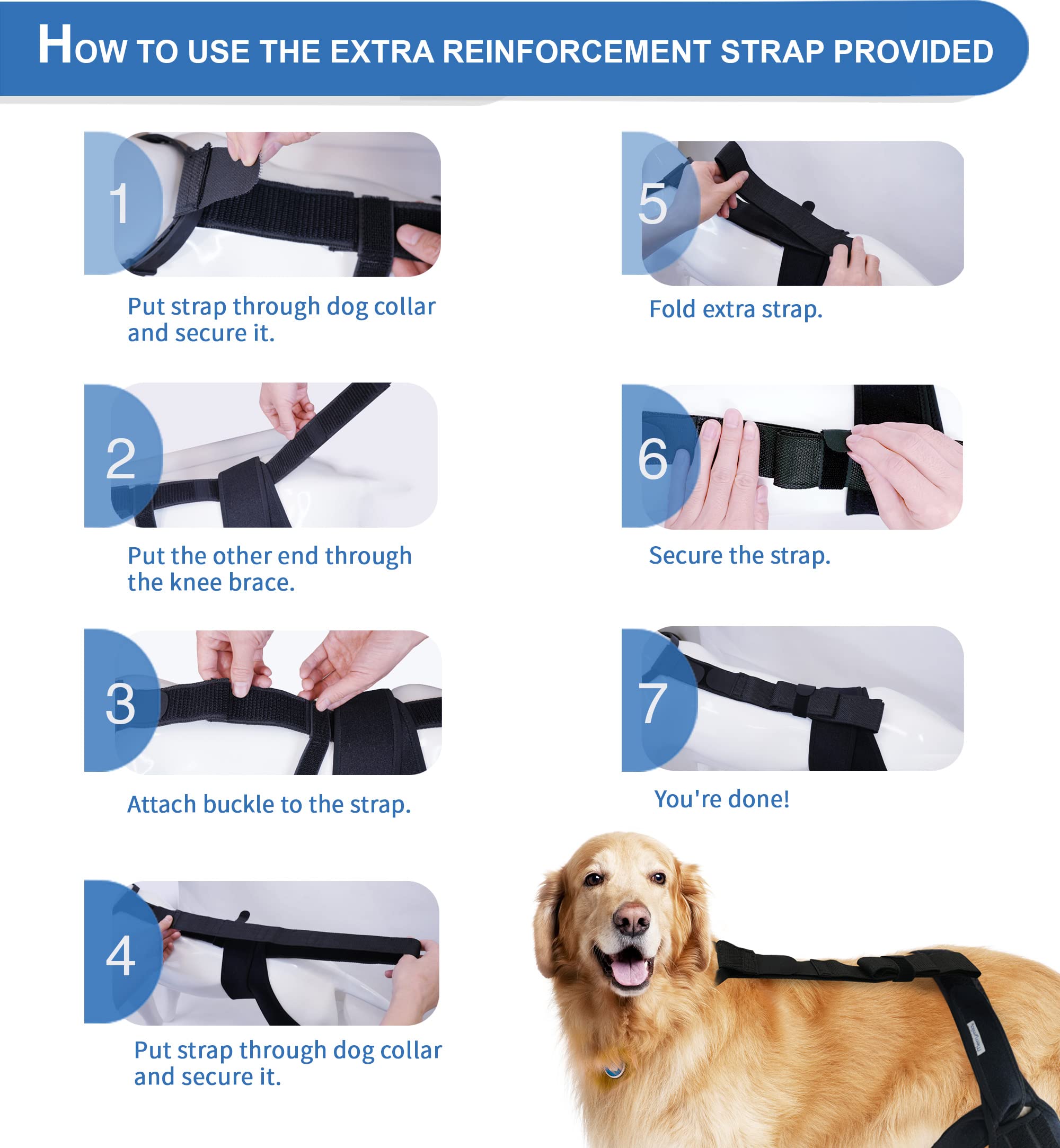 MerryMilo genou-chien : ajustement rapide et maintien stable pendant les promenades.