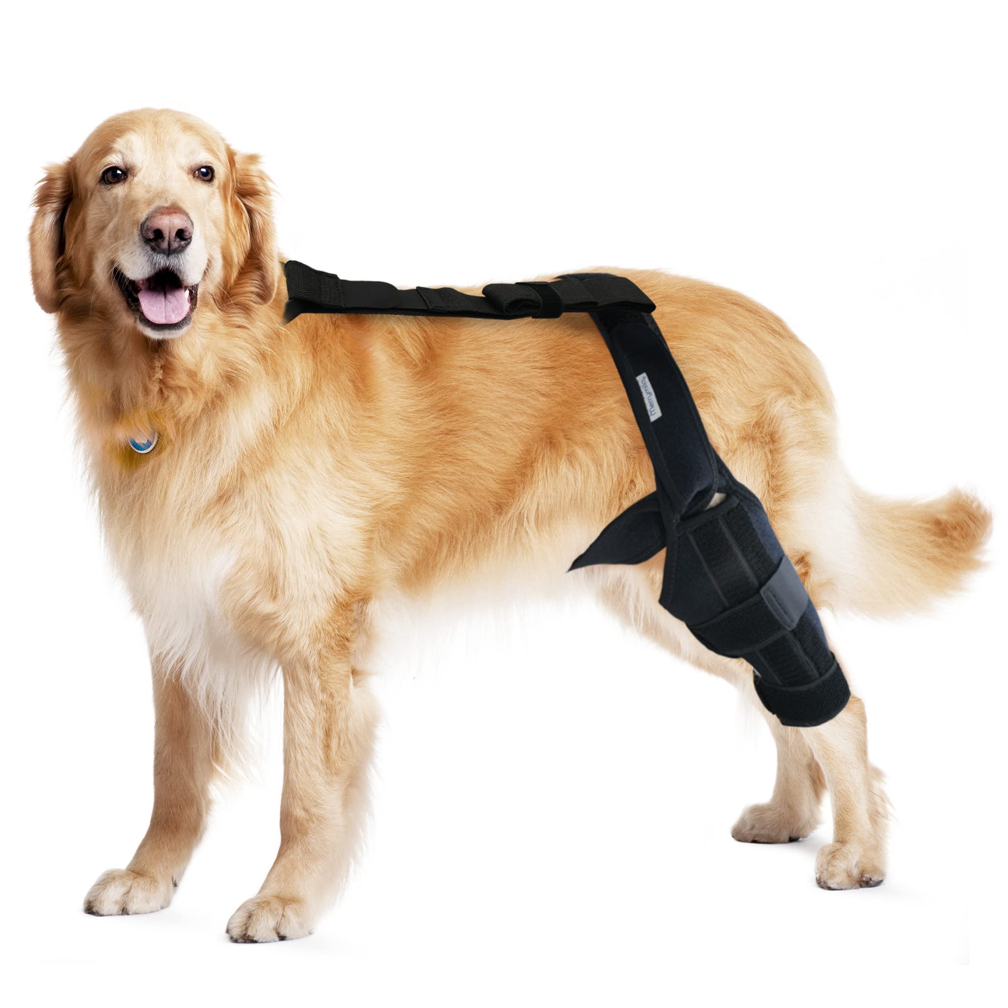 MerryMilo genou-chien : orthèse petite-ajustable pour un soutien sûr et confortable.