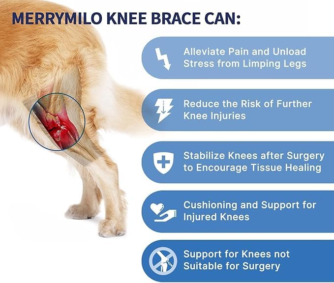 MerryMilo genou-chien : tissu doux pour le confort quotidien et la protection.