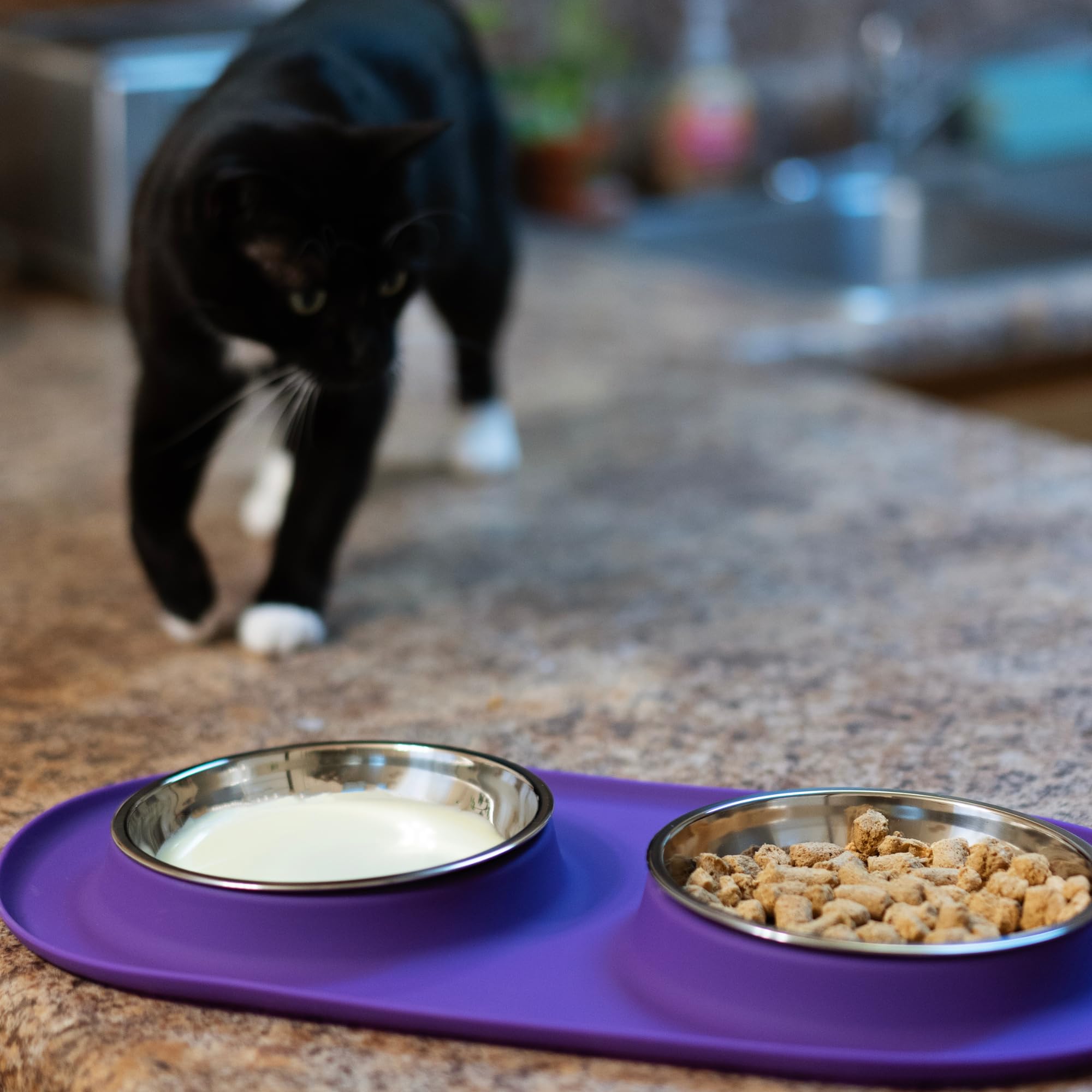 Messy Cats, bols-lave-vaisselle: durable et facile à entretenir.