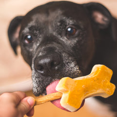 Messy Mutts glace-chien démoulage facile grâce au cadre.