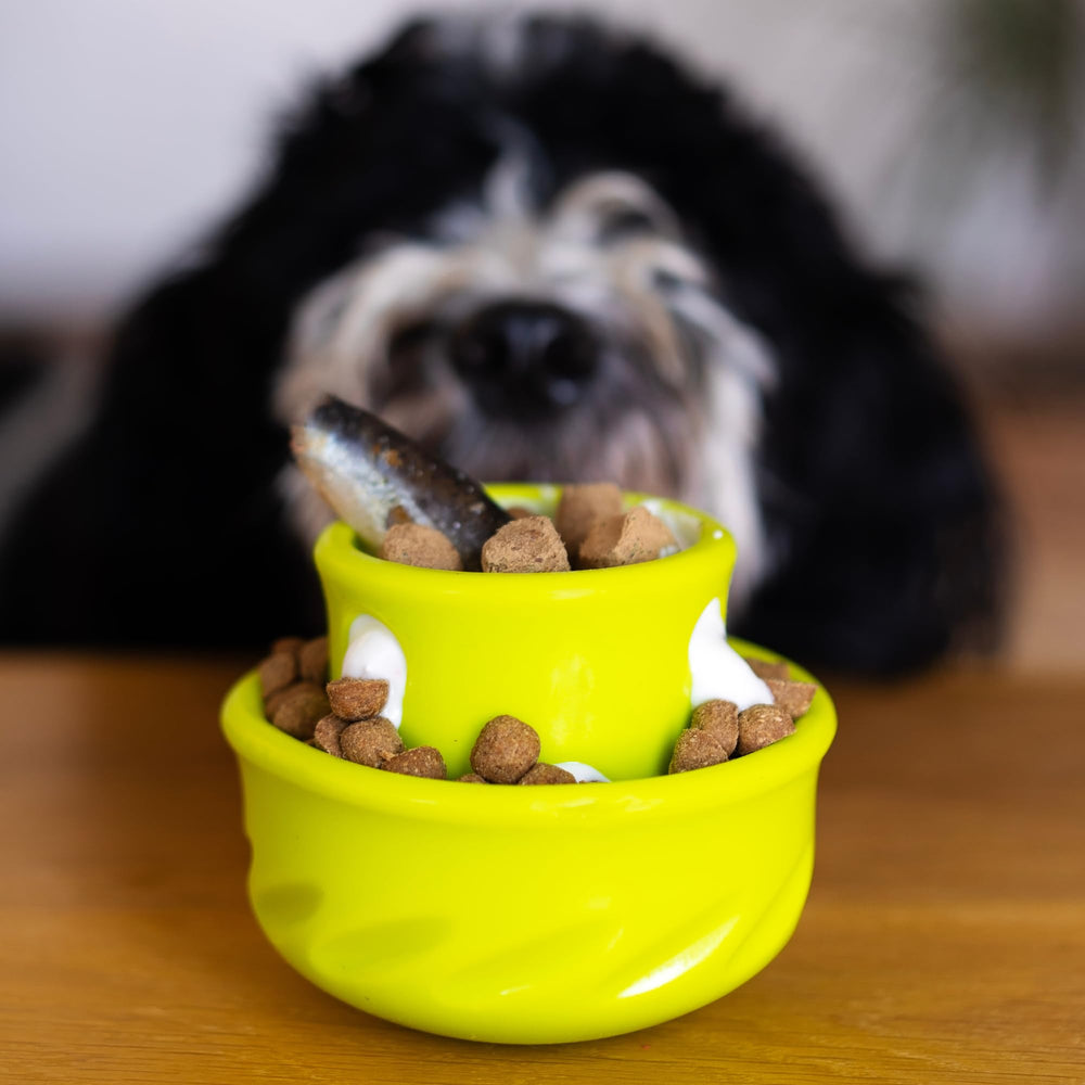 Messy Mutts Puzzle Champignon stimulation dentaire lors des séances de lèche et mastication