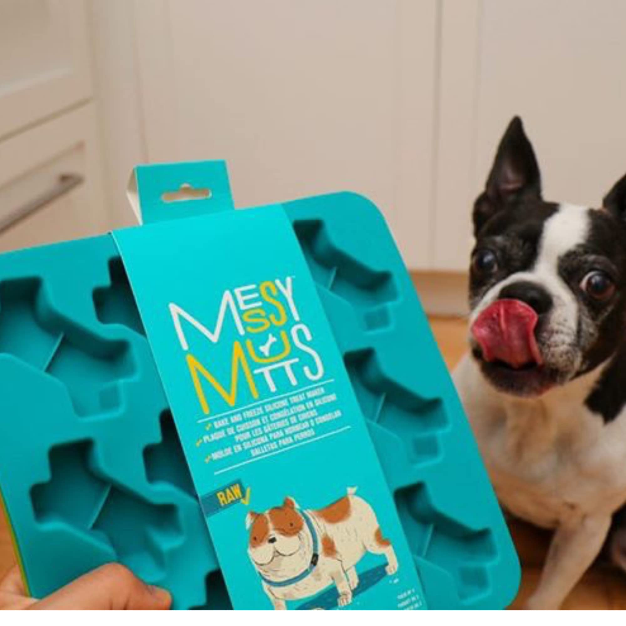 Messy Mutts – plateau bleu-vert, congélation rapide et démoulage facile.
