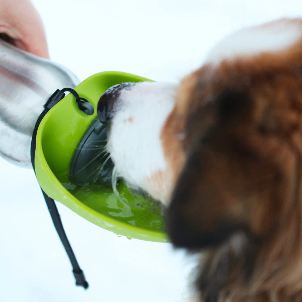 Messy Mutts design compact idéal pour camping et randonnées.