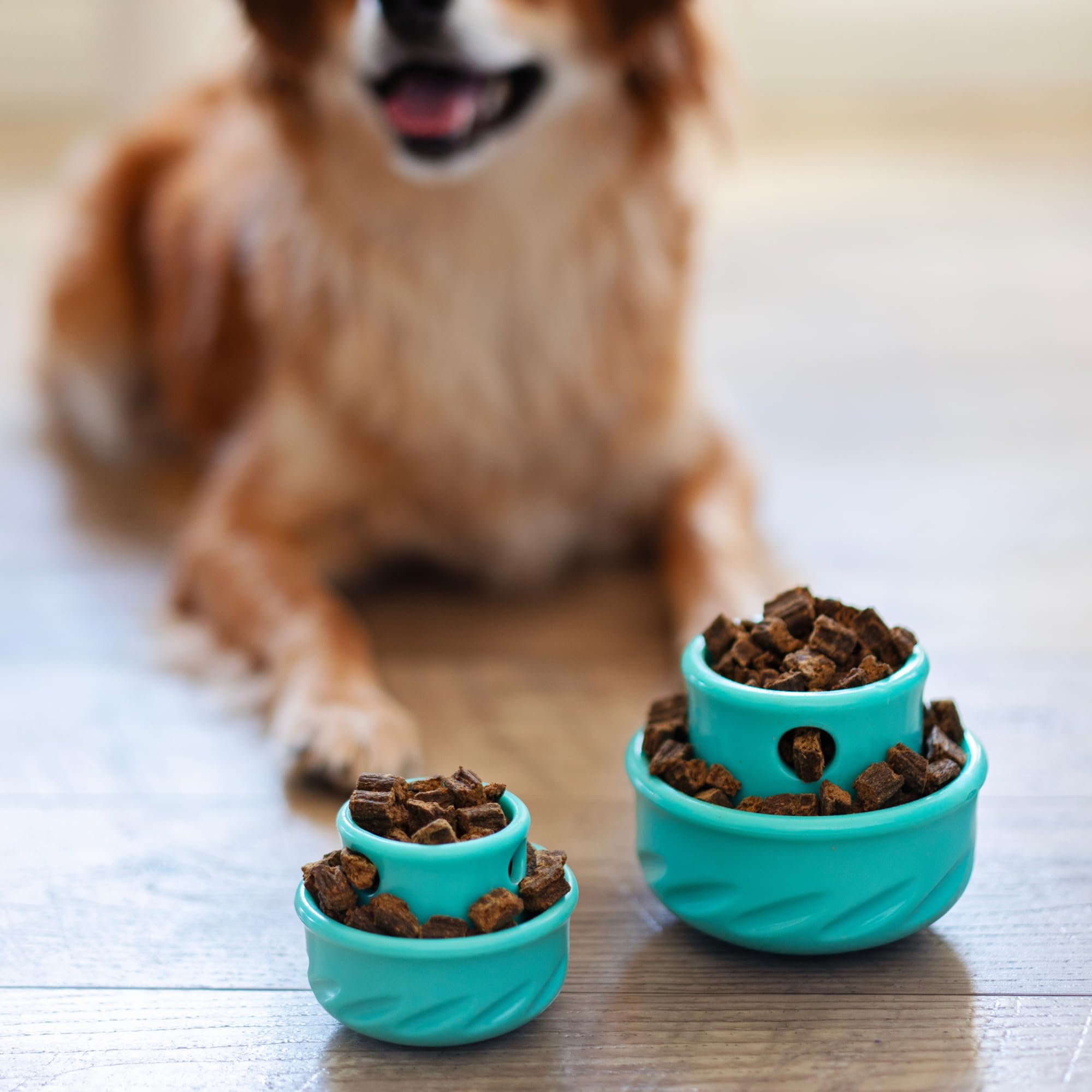 Messy Mutts Puzzle-n-Play Champignon Teal, base plate pour éviter les déversements