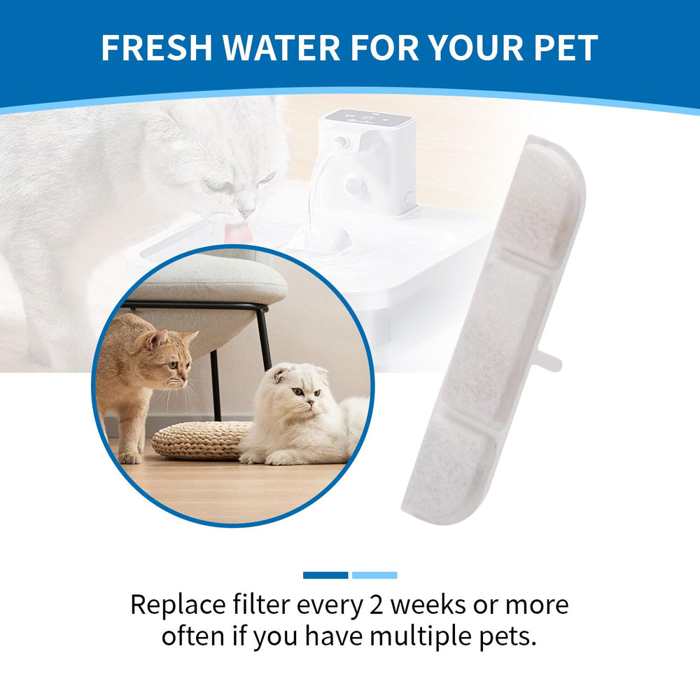 Mestrol conseils d'utilisation pour le remplacement du filtre DownyPaws.