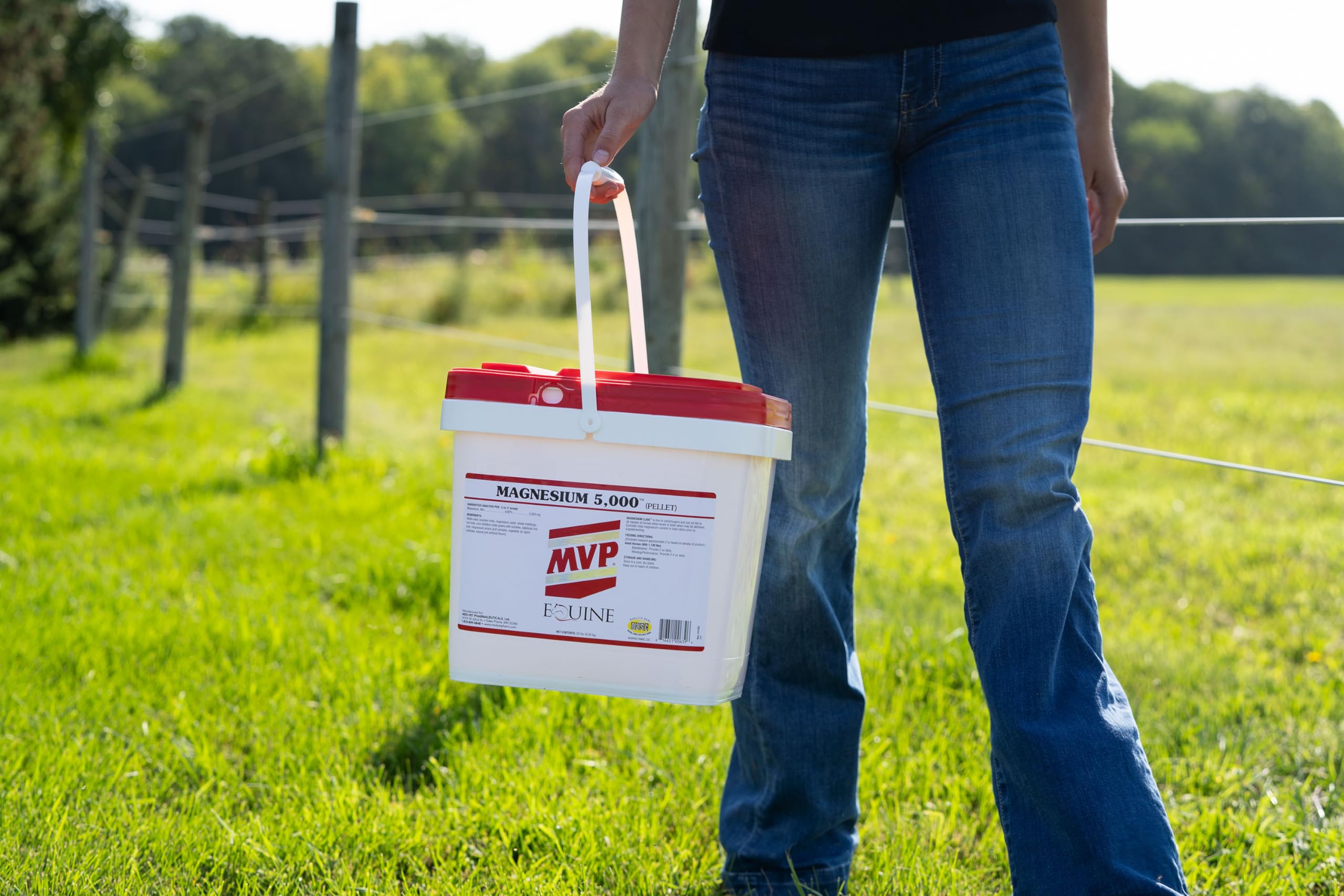 Metabolisme du cheval soutenu par MVP Magnesium5000.