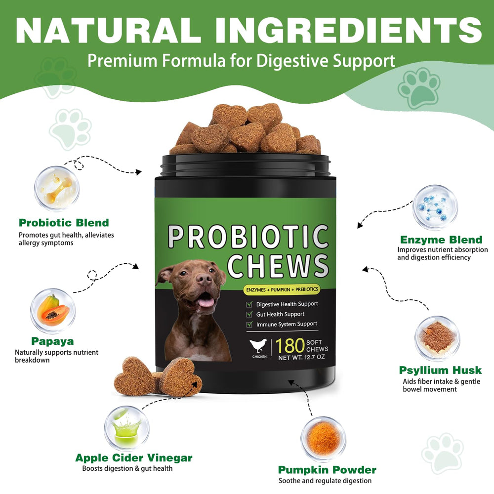 Chien dégustant une bouchée Meukgag Probiotiques pour digestion plus fluide.