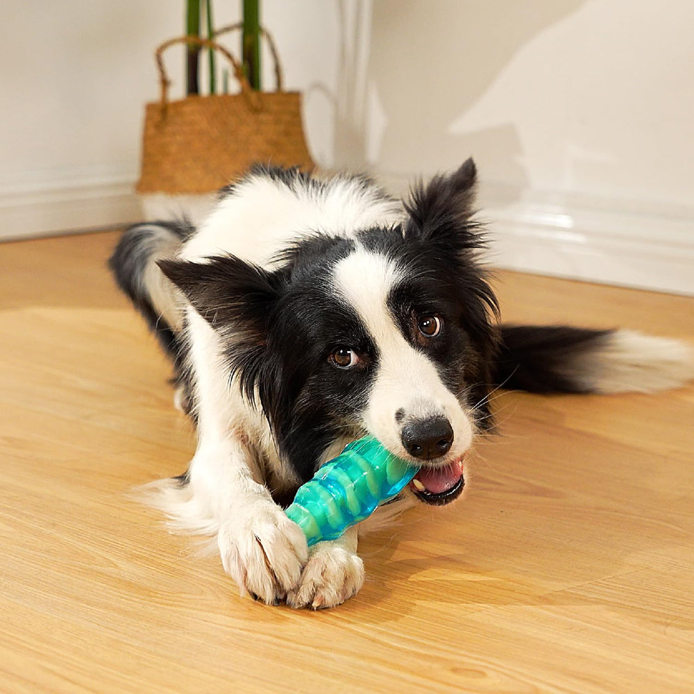 MewaJump jouet 2-en-1, mastic et jeu interactif pour chiens.