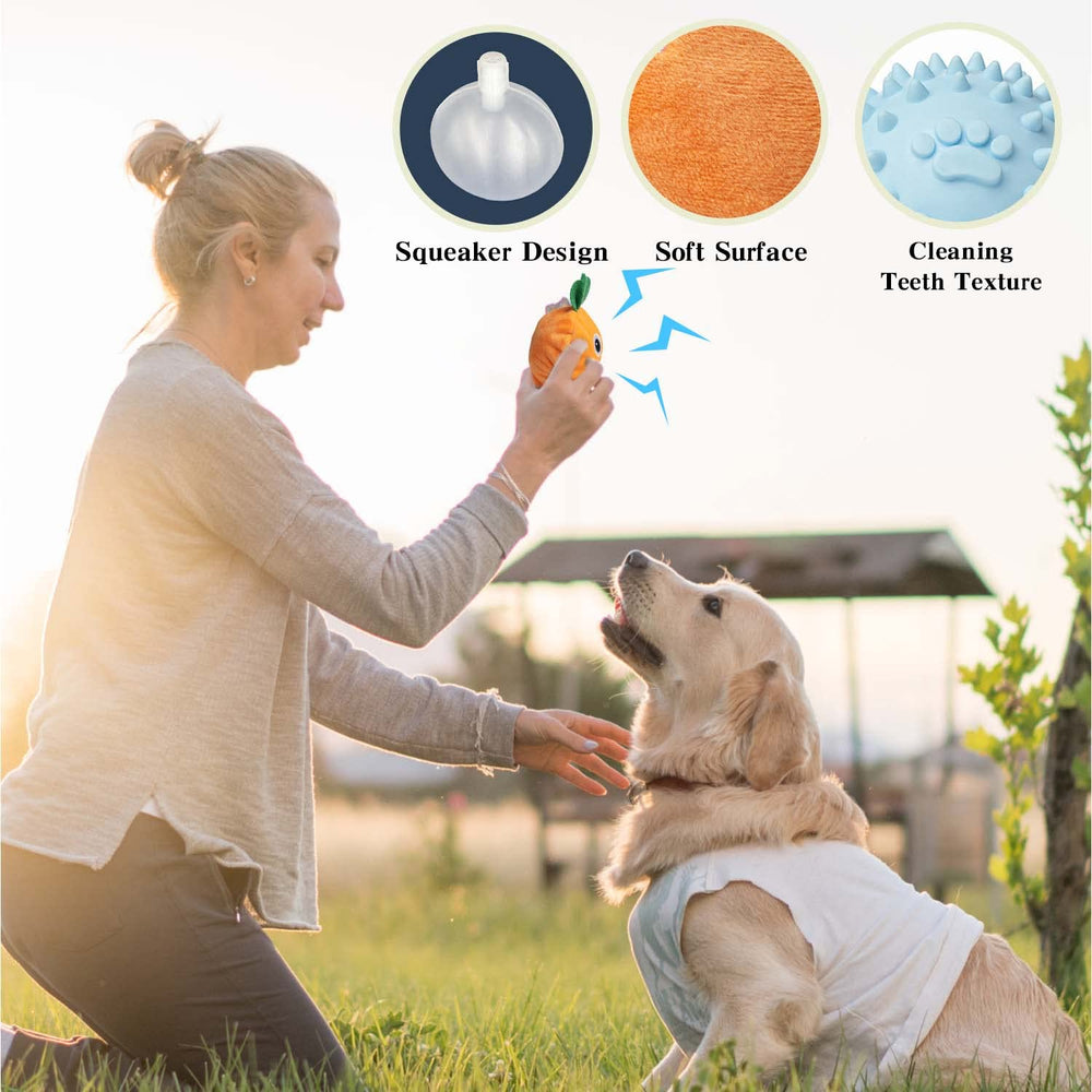 MewaJump jouet d'enrichissement pour voyages et transitions