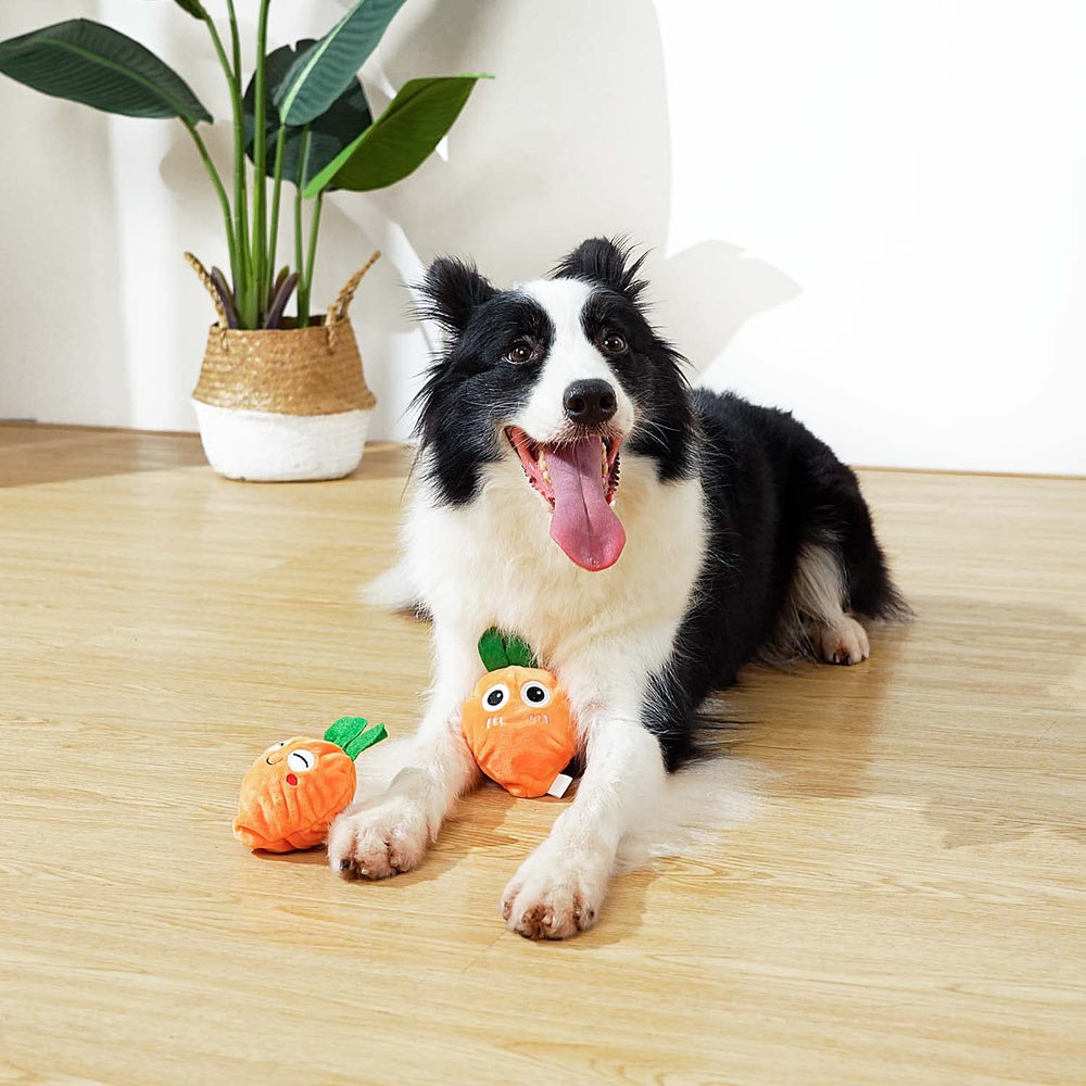 MewaJump jouet siffleur peluche nocturne pour jeux et repos