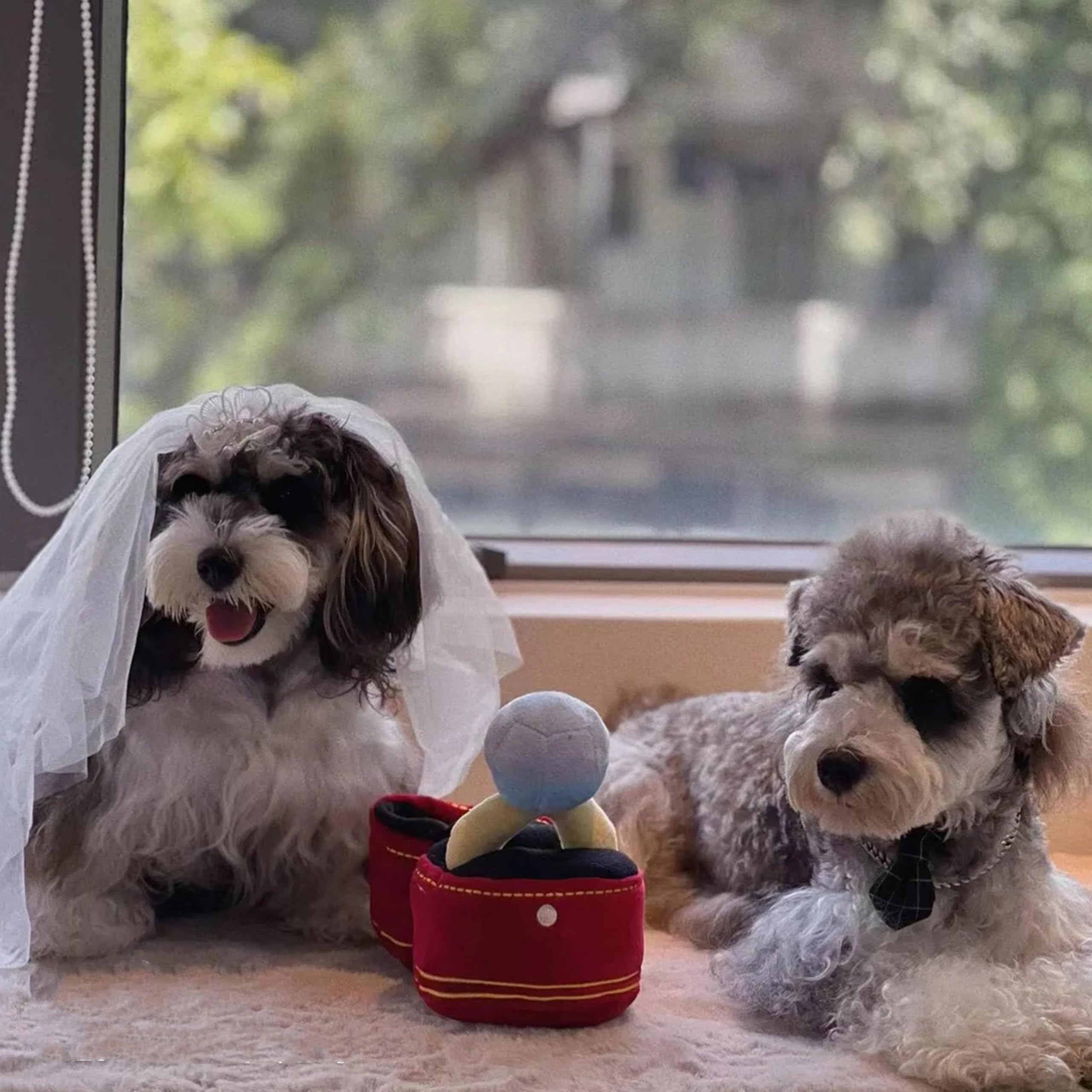 Mewcho anneau peluche sifflet, réconfort et jeu interactif pour chien