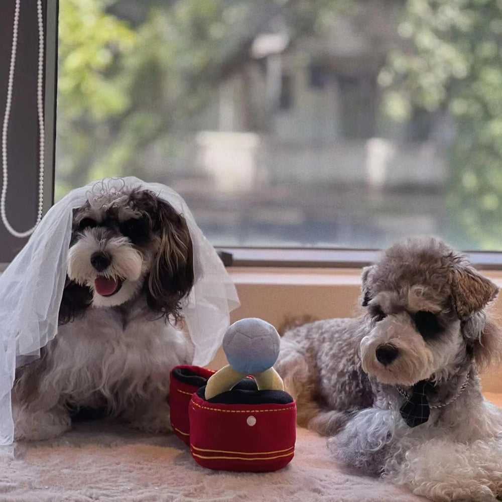 Mewcho anneau peluche sifflet, réconfort et jeu interactif pour chien