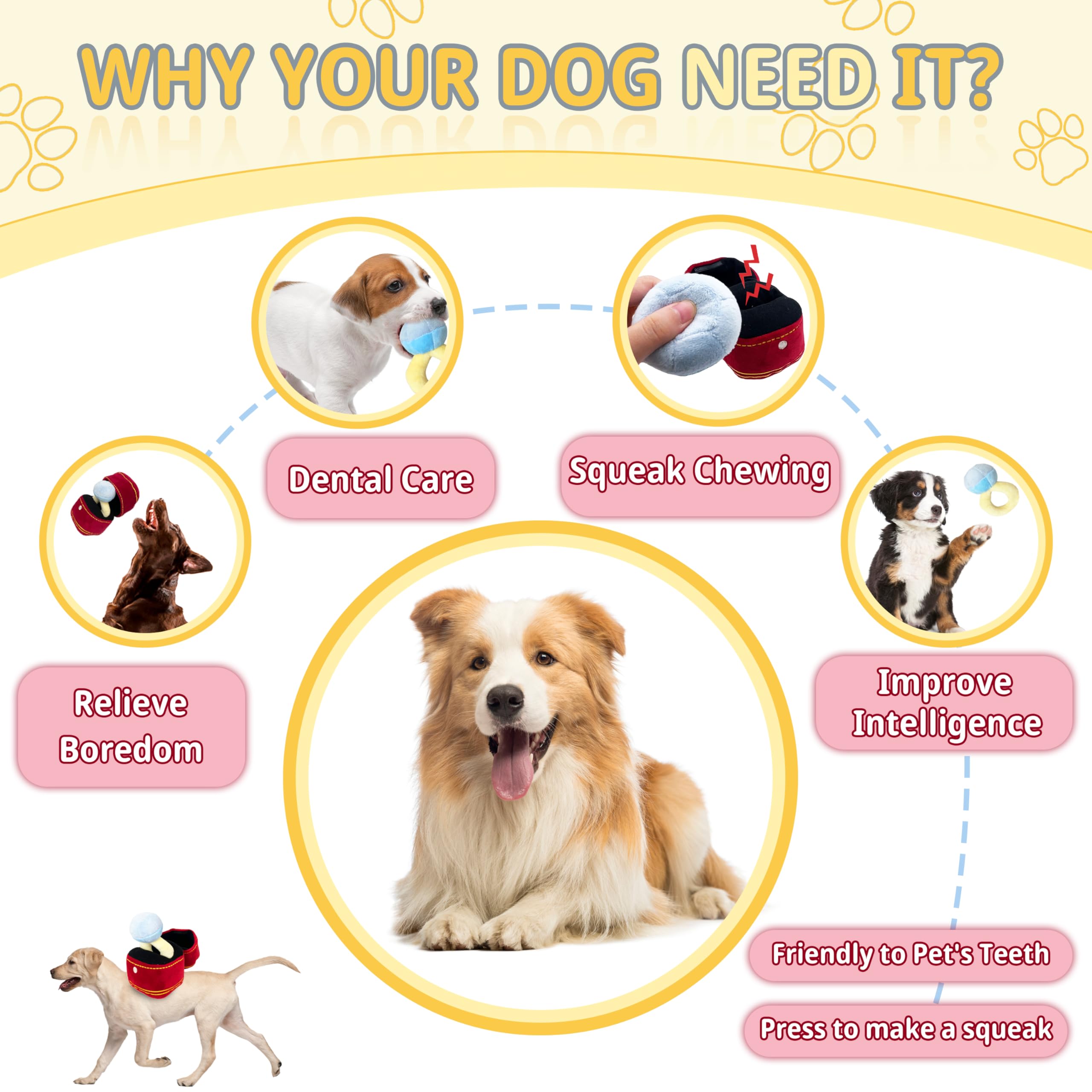 Mewcho cadeau anniversaire chien, jouet amusant et moelleux