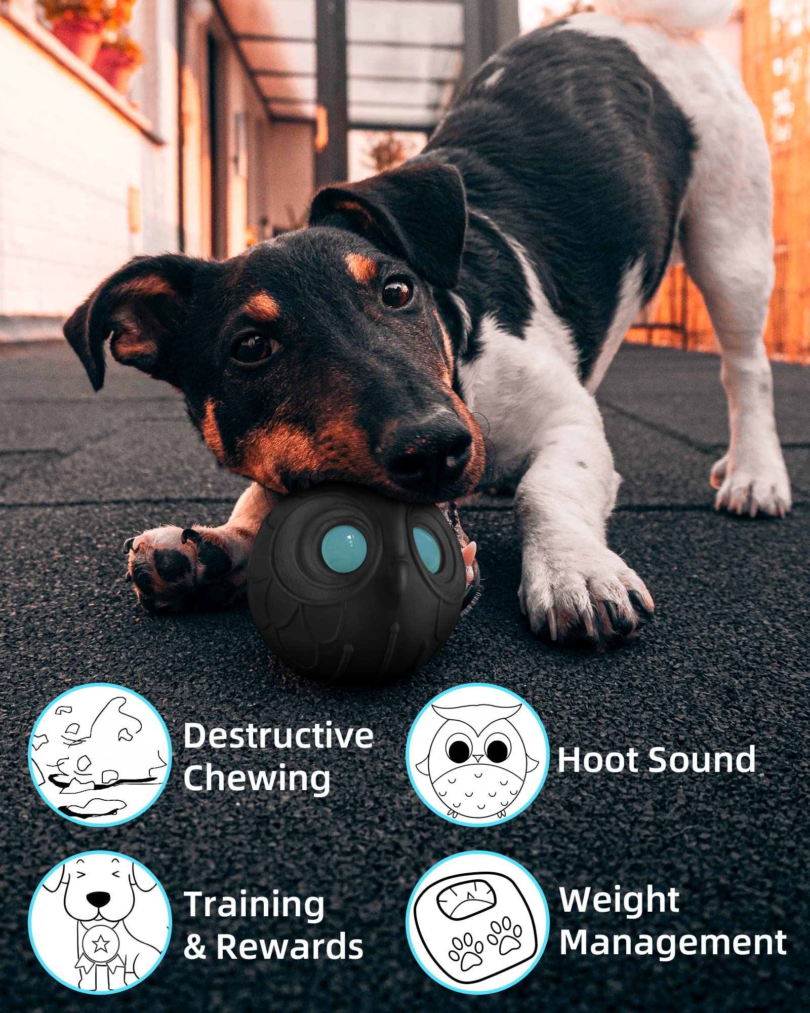 Conçue pour chiens de taille moyenne à grande et mâchoires robustes.