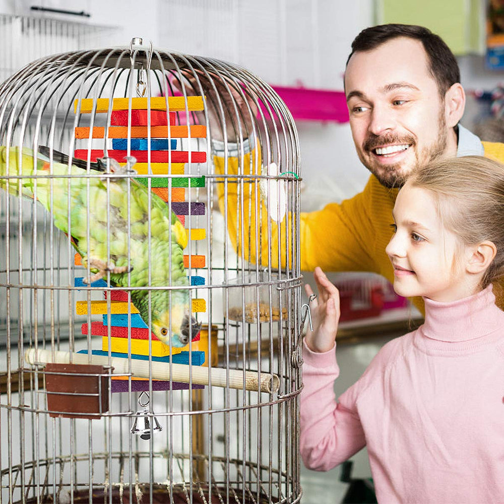 MEWTOGO batons bois multicolores pour mâchage sûr et divertissement.